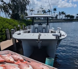 8-12 Hour Offshore Trip