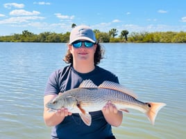 4-8 Hour Inshore Trip