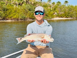 4-8 Hour Inshore Trip