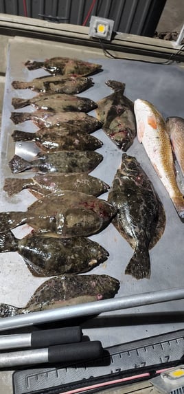 Gig/Bowfish Flounder