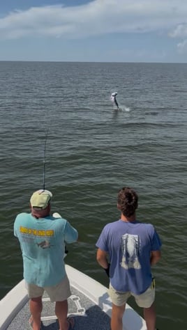 6 to 8 hour MS & LA Tarpon Charter