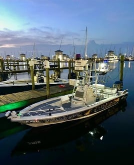 6 to 8 hour MS & LA Tarpon Charter