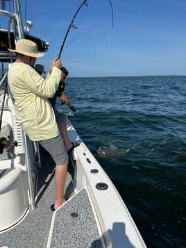 6 to 8 hour MS & LA Tarpon Charter