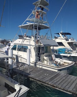 4-8 Hour Offshore Trip