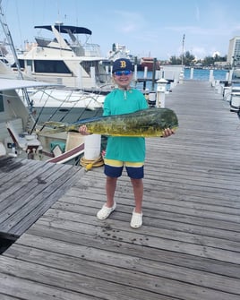 4-8 Hour Offshore Trip