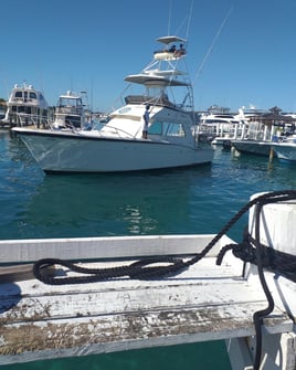 4-8 Hour Offshore Trip