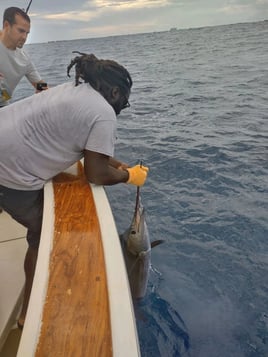 4-8 Hour Offshore Trip