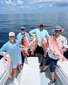 8 Hour Trip – Snapper Adventure