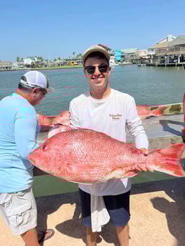 8 Hour Trip – Snapper Adventure