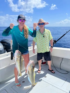 12 Hour Trip – Blue Water Adventure