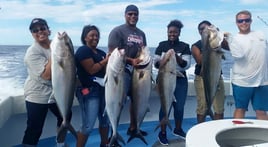 Epic Summer Sportfishing