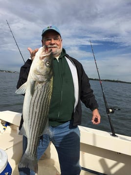 Hybrid Striped Bass Fishing in Port Washington, New York