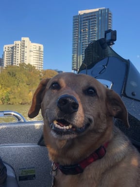 Damn Good Dogs (&amp; Guides): Meet our Favorite Furry Crewmembers