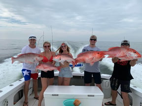 Year Round Snapper Fishing