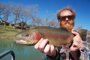 Trout Species of North America