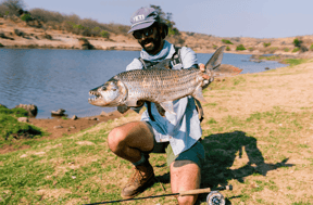 Part 3: Setting the Tigerfish Record