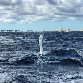 Inshore Versus Offshore Fishing: Which Is Better?