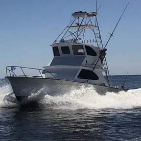 An Almost Record Bluefin Tuna in Florida