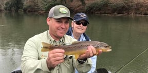 Trout Compared: Brook vs. Brown Trout