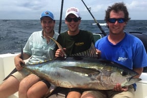 Tuna Compared: Yellowfin vs Bluefin vs Blackfin