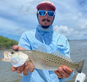 Everything You Need To Know About Speckled Trout