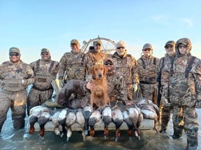Texas Duck Season: 2023 Hunting Dates