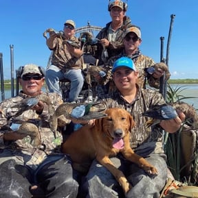 Blue Wing Vs. Green Wing Vs. Cinnamon Teal