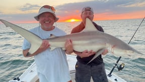 Shark Fishing In Tampa: Everything You Need To Know