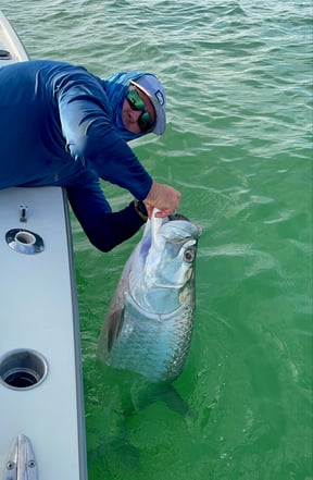 Tampa Bay Tarpon Fishing: Everything You Need To Know