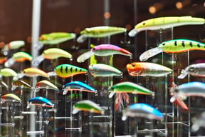 Top 10 Bait &amp; Tackle Shops In The Tampa Bay Area