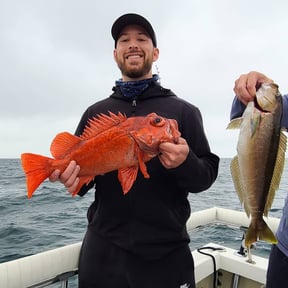 Rock fishing Season is Open! We are on it! Catch and Cook with Video.