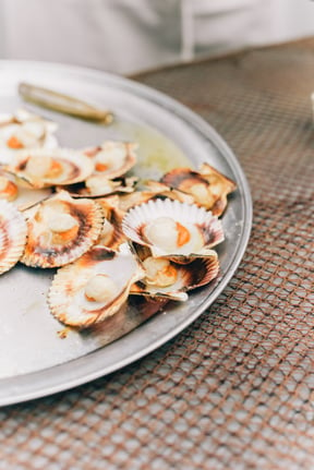 How to Cook Scallops