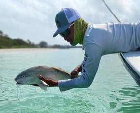 The 7 Most Popular Fish To Catch In Fort Myers, FL
