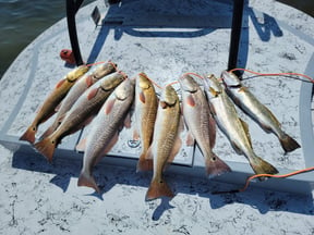 The Top 6 Fishing Spots in South Padre Island