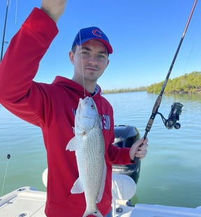 Marco Island Fishing: The Angler&#039;s Guide (Updated 2024)