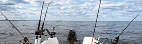Marco Island Deep Sea Fishing: The Complete Guide