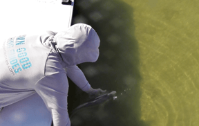 How to Catch &amp; Release Fish