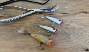 The Ubiquitous Topwater Popper