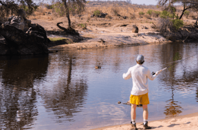 Part 2: A Primer on Tigerfish Behavior