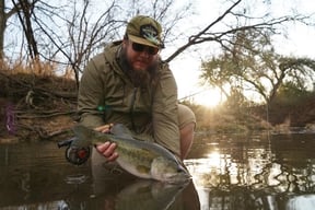 Can Fish Smell or Taste?