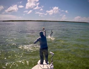 Searching for The Silver King