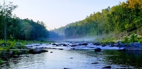 Earth Day: The Impact of Conservation