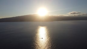 The Chase of a Lifetime: Blue Marlin on the Big Island