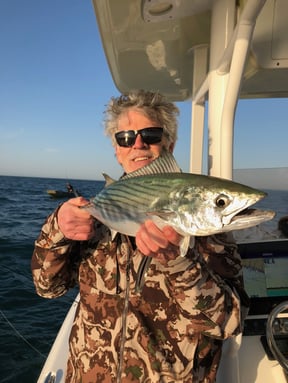 Fair-Weather False Albacore Fishing Trips