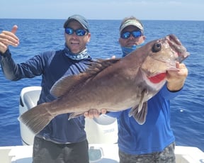 Fishing Techniques: The Beginner&#039;s Guide to Deep Dropping