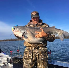 Winter Catfish: How to Catch Catfish in Cold Water