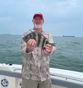 How to Catch Sheepshead