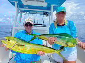 Everything You Need to Know About Mahi Mahi Season 2023
