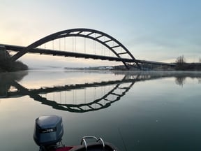 How Did Fish Get Into Lakes?