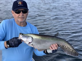 Unwanted Guests: Invasive Fish In Florida